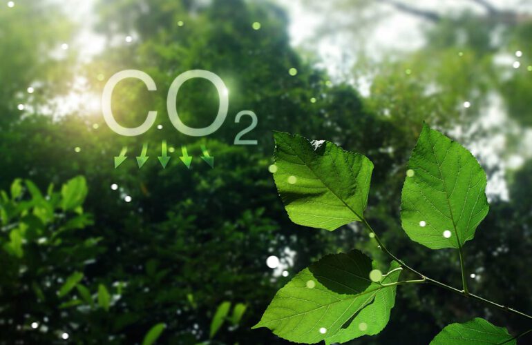 CO2 Kühlung