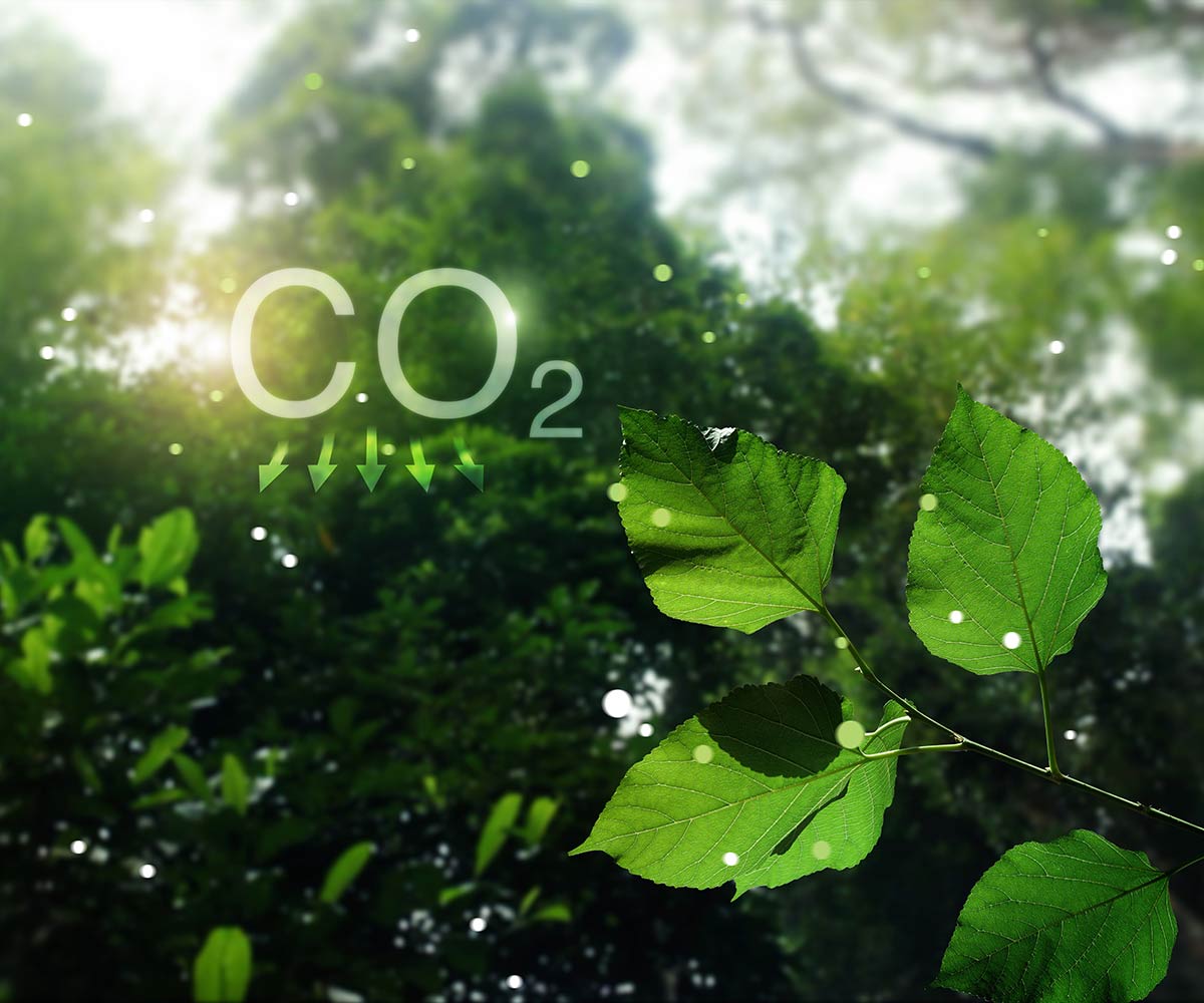 CO2 Kühlung